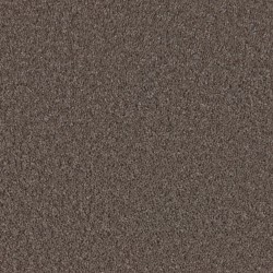 Natural Decoration - Tawny Taupe