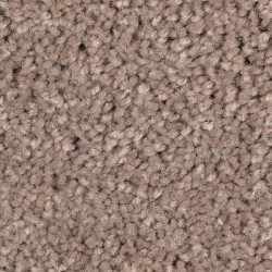 Brushed Suede