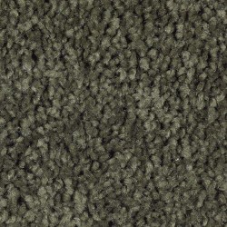 Mossy Border