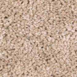 Porcelain Beige