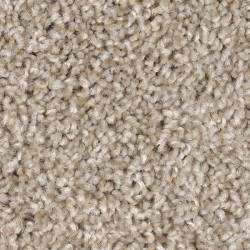Beige Twill