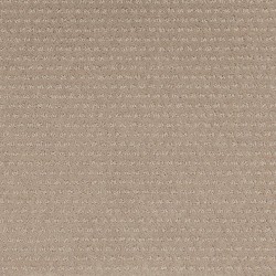 Natural Intuition - Beach Powder
