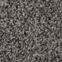 Black Walnut