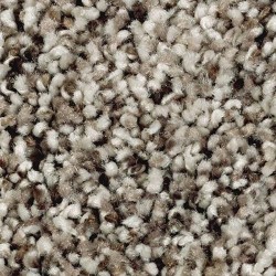 Beige Twill