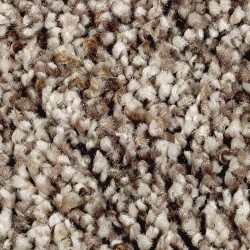 Dried Peat