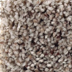 Porcelain Shale
