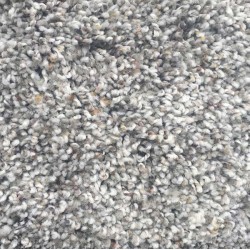 Brampton Grey