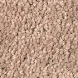 Bermuda Sands