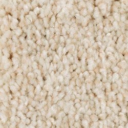 Enchanting Beige