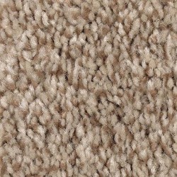Saddle Brown