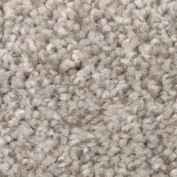 Taupe Illusion