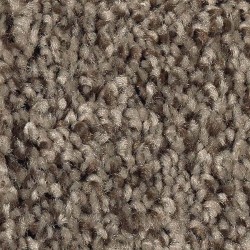 Black Walnut