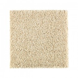 Parchment