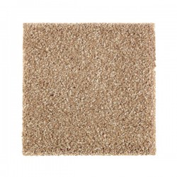 Brushed Suede