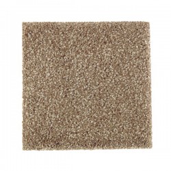 Shaw Wide Width Statuette I 12-ft- Pinecone Pinecone Textured Carpet Sample (Interior) Shaw Wide Width Statuette I 12-ft- Pinecone Pinecone Textured Carpet Sample (Interior)