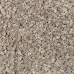 Tomorrow\'s Taupe