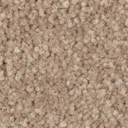 Dash O\'Spice