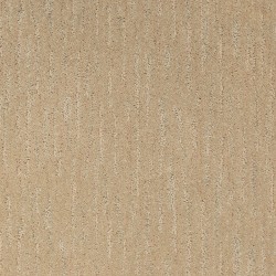 Shoreline color swatch