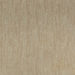 Sand Dollar color swatch