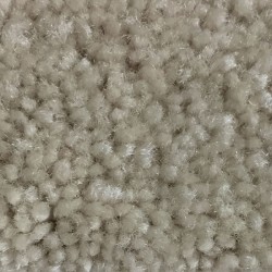 Rococo Beige