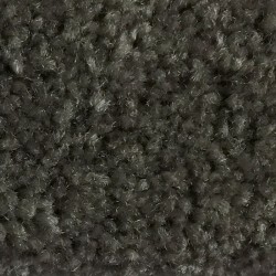 Meteorite
