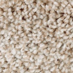 Thatch Roof