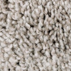 True Taupe