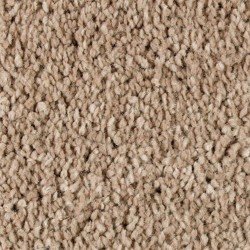 Timeless