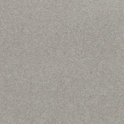 Warm Fog color swatch