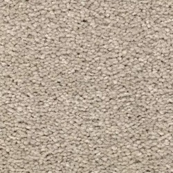 Traditional Tan color swatch