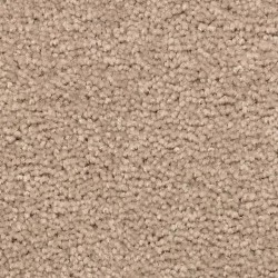 Autumn Ash color swatch