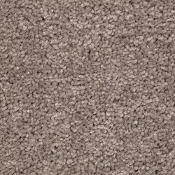 Poised Taupe color swatch