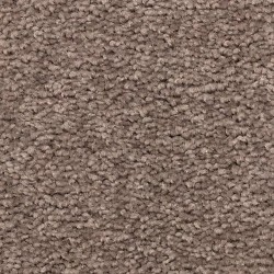 Nomad color swatch
