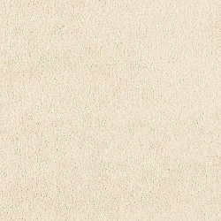 Bone color swatch