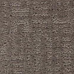 Backdrop color swatch