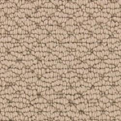 Canvas color swatch