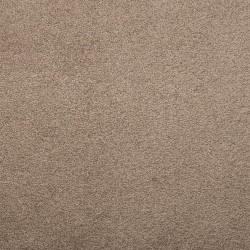 Tudor Brown color swatch