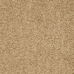 Canterbury color swatch