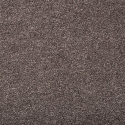 Steeplechase color swatch