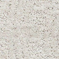 Sand Dollar color swatch