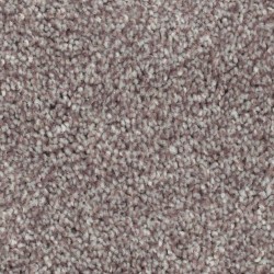 Teak color swatch