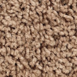 Mohawk Carpet - Mohawk Carpeting & Carpet Tiles Online