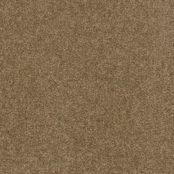 Terrain Broadloom - Haven