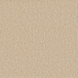 Classic Ivory
