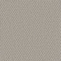 Sun Valley - Bleached Wheat