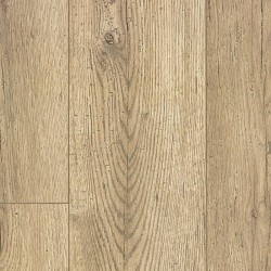 Canvas Oak