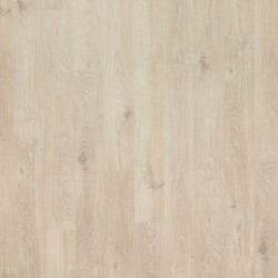 Nimbus Oak