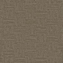 Dusted Bronze