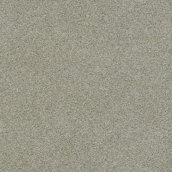 Morning Glory III - French Silk