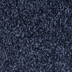 Classic Navy color swatch